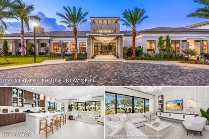 Lotus Palm   Last Chance to Own