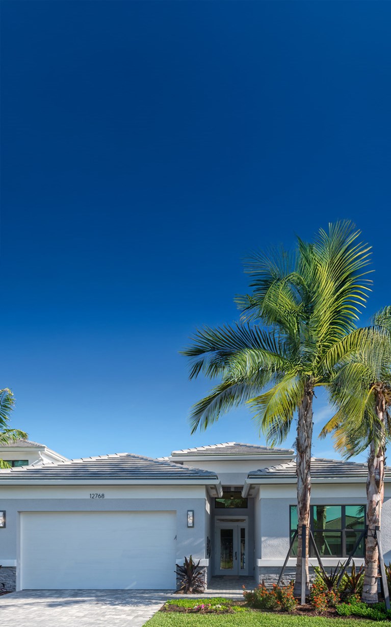 RC Hero Home D2 final