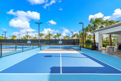PICKLEBALL, NOW OPEN