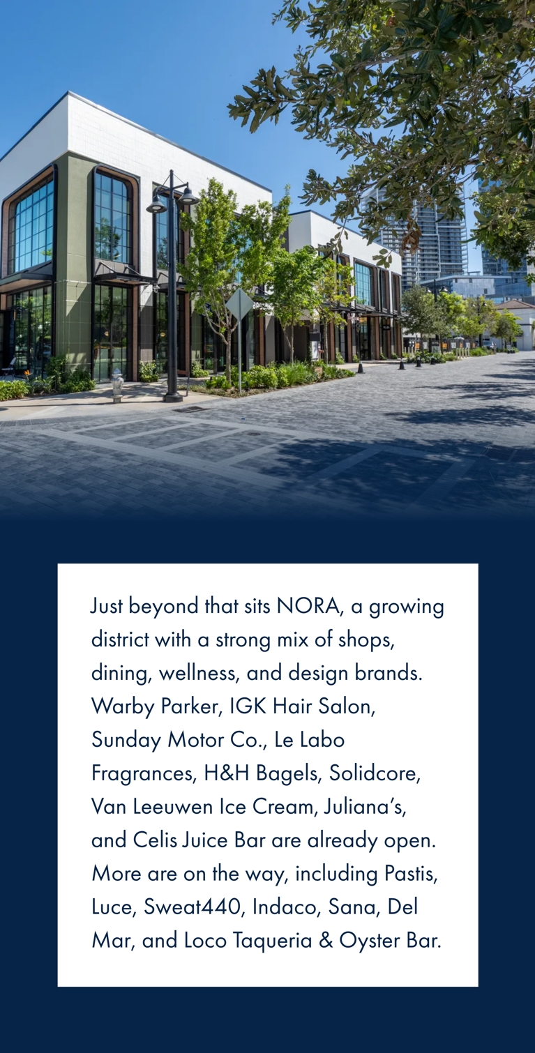 NOMAR Nora DT v3