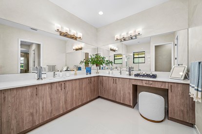 Rainier Primary Bathroom