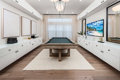 Alenxadra IV Club Room