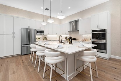 Alenxadra IV Kitchen