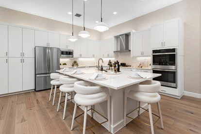 Alenxadra IV Kitchen