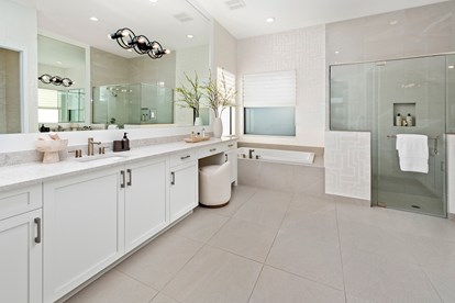 Alenxadra IV Primary Bathroom