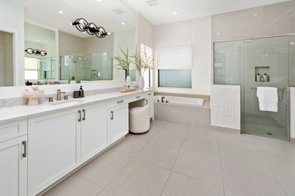 Alenxadra IV Primary Bathroom