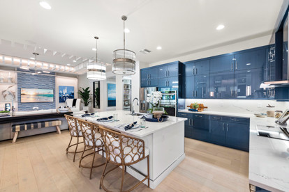 Belize Kitchen