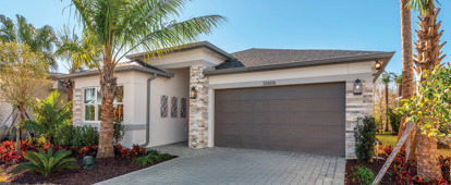 product image ibis