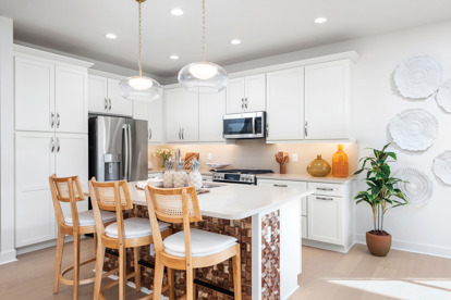 Camelia Kitchen