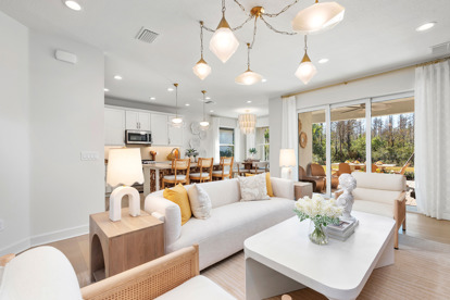 Camelia Living Room & Kitchen 