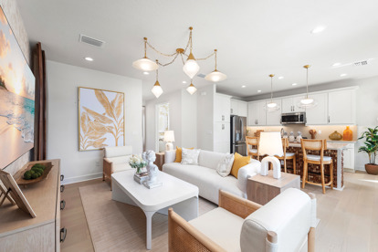 Camelia Living Room & Kitchen