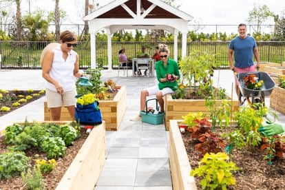 COMMUNITY GARDENS 